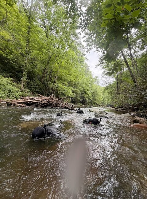 Oxbow River Snorkeling-Rosman必去景点