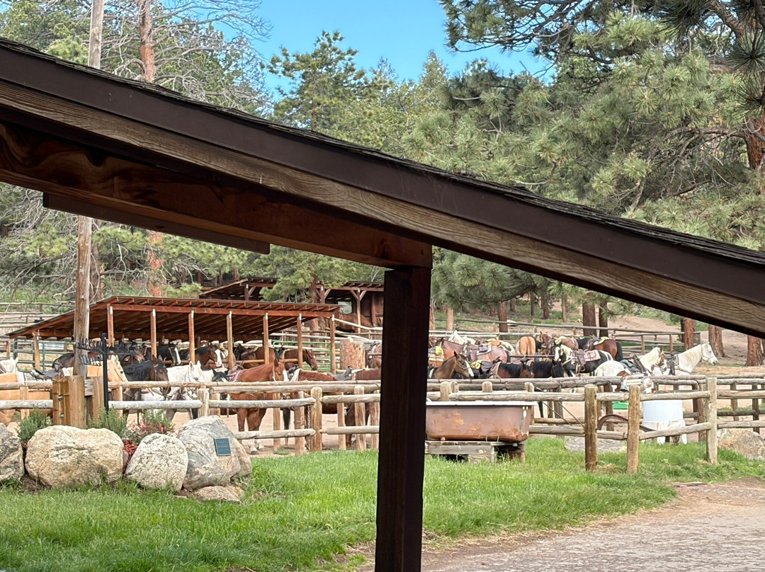 Jackson Stables-埃斯蒂斯公园必去景点