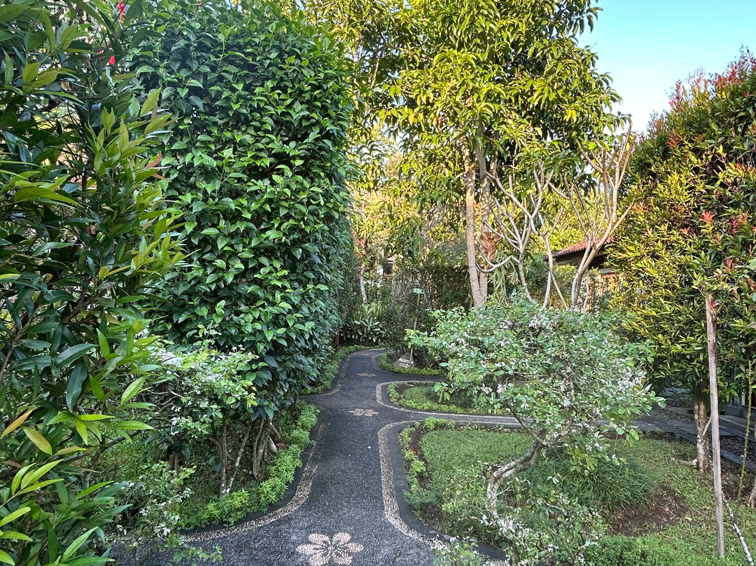 Amrtasiddhi Ayurvedic Center-乌布必去景点