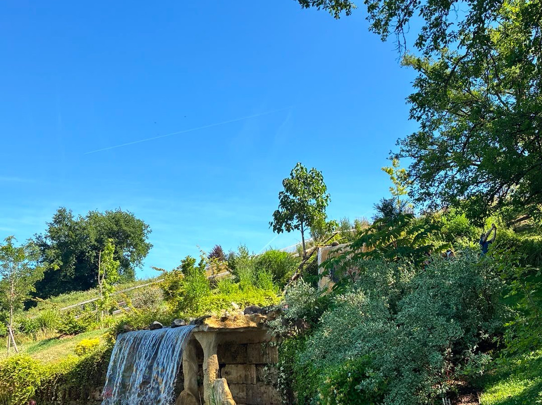 Les Jardins D'eau-Carsac-Aillac必去景点