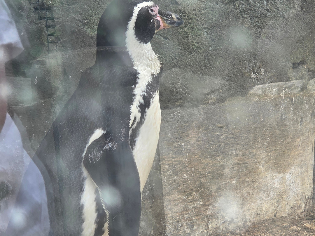 Sea Life Blankenberge-布朗肯堡必去景点