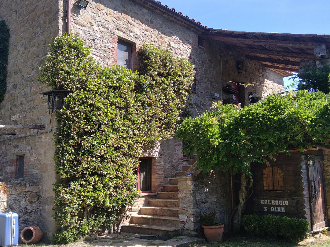 Agriturismo Torre Morgana主图