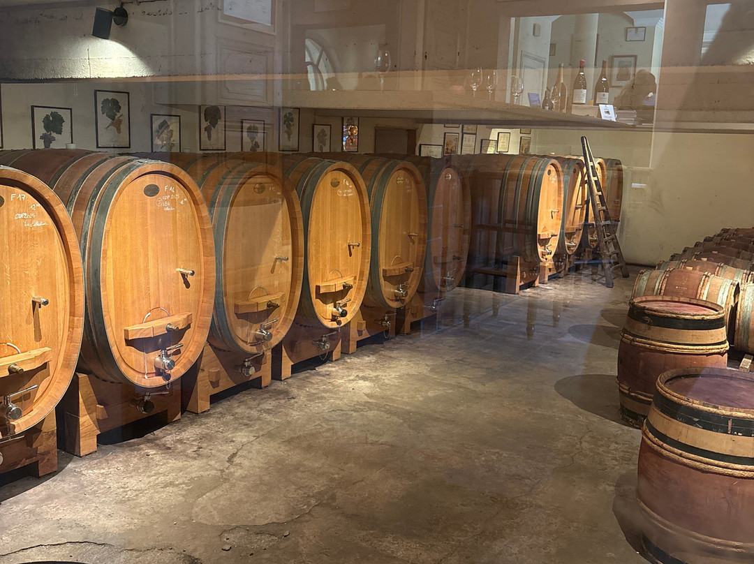 Domaine de Beaurenard-教皇新堡必去景点