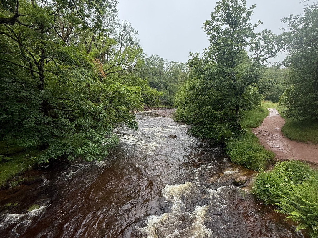 Four Waterfalls Walk-Ystradfellte必去景点