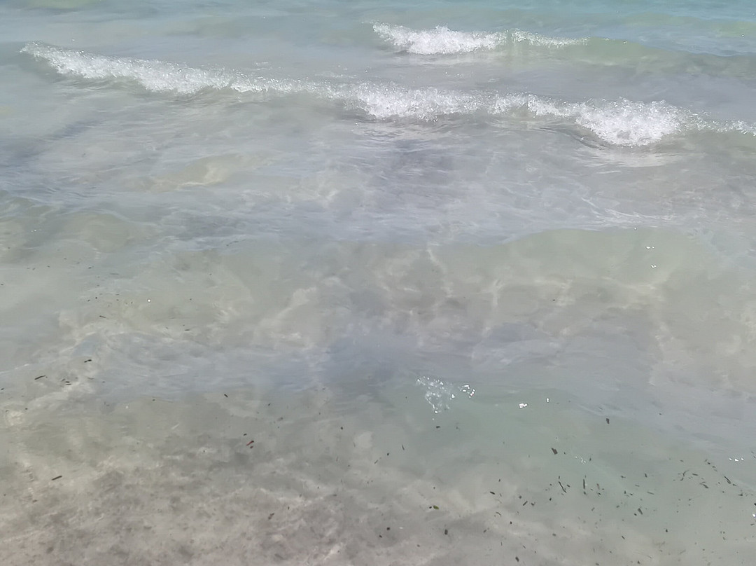 姆罗沙滩-穆罗海滩必去景点