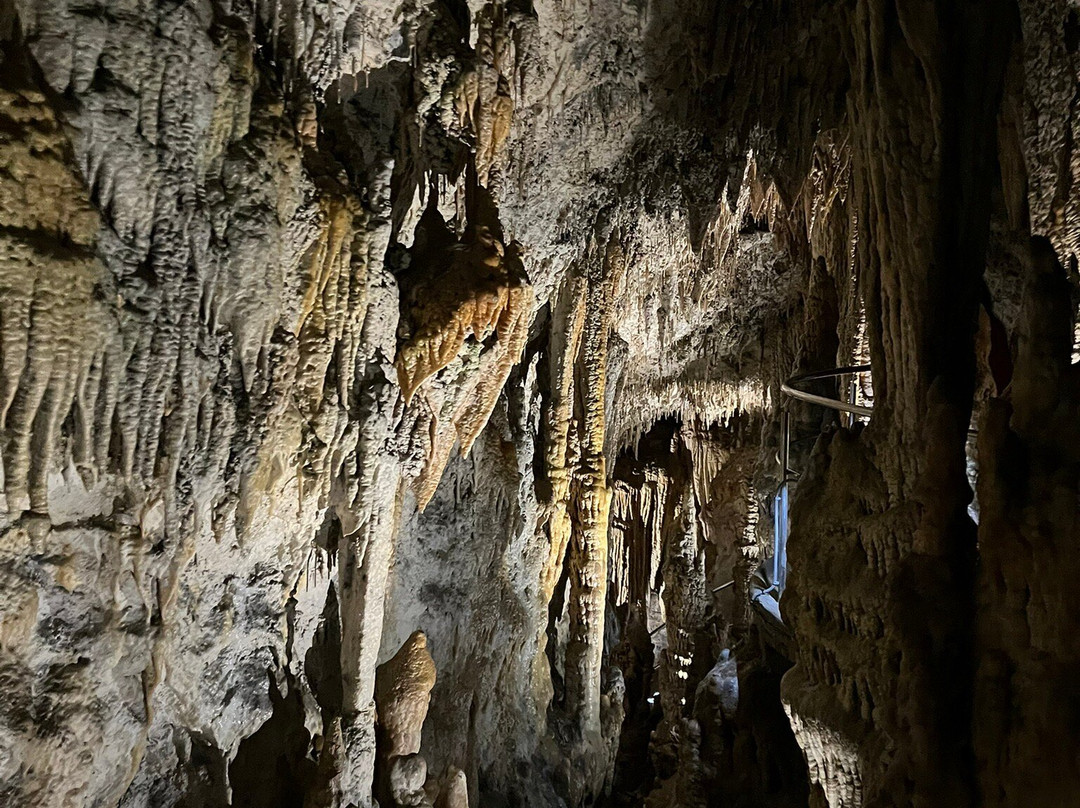 Demanovska Cave of Liberty-Liptovsky Mikulas必去景点