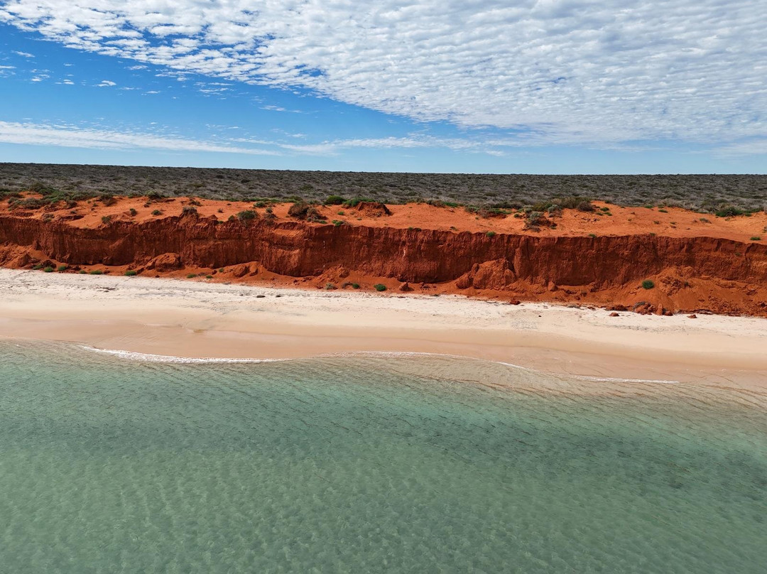 Shark Bay Coastal Tours-德纳姆必去景点