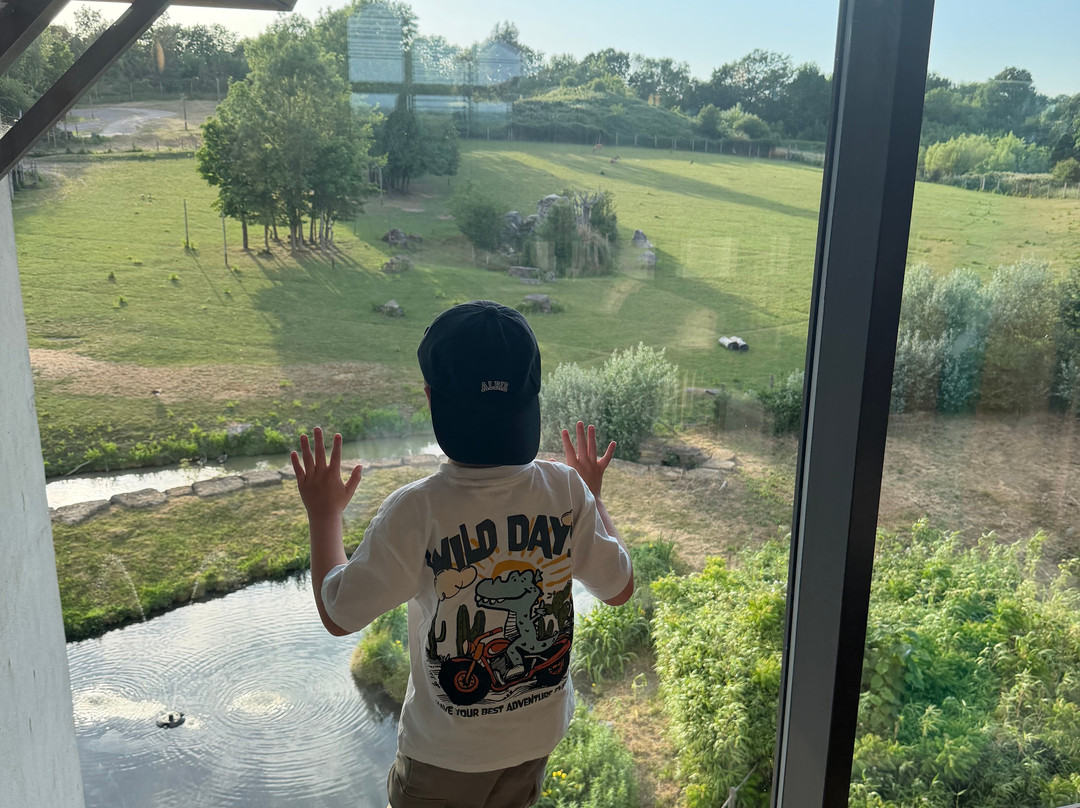 Chessington Safari Hotel主图