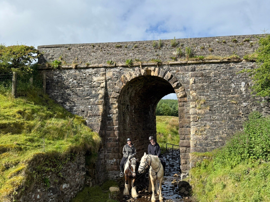 Bespoke Equestrian Ireland-都柏林必去景点
