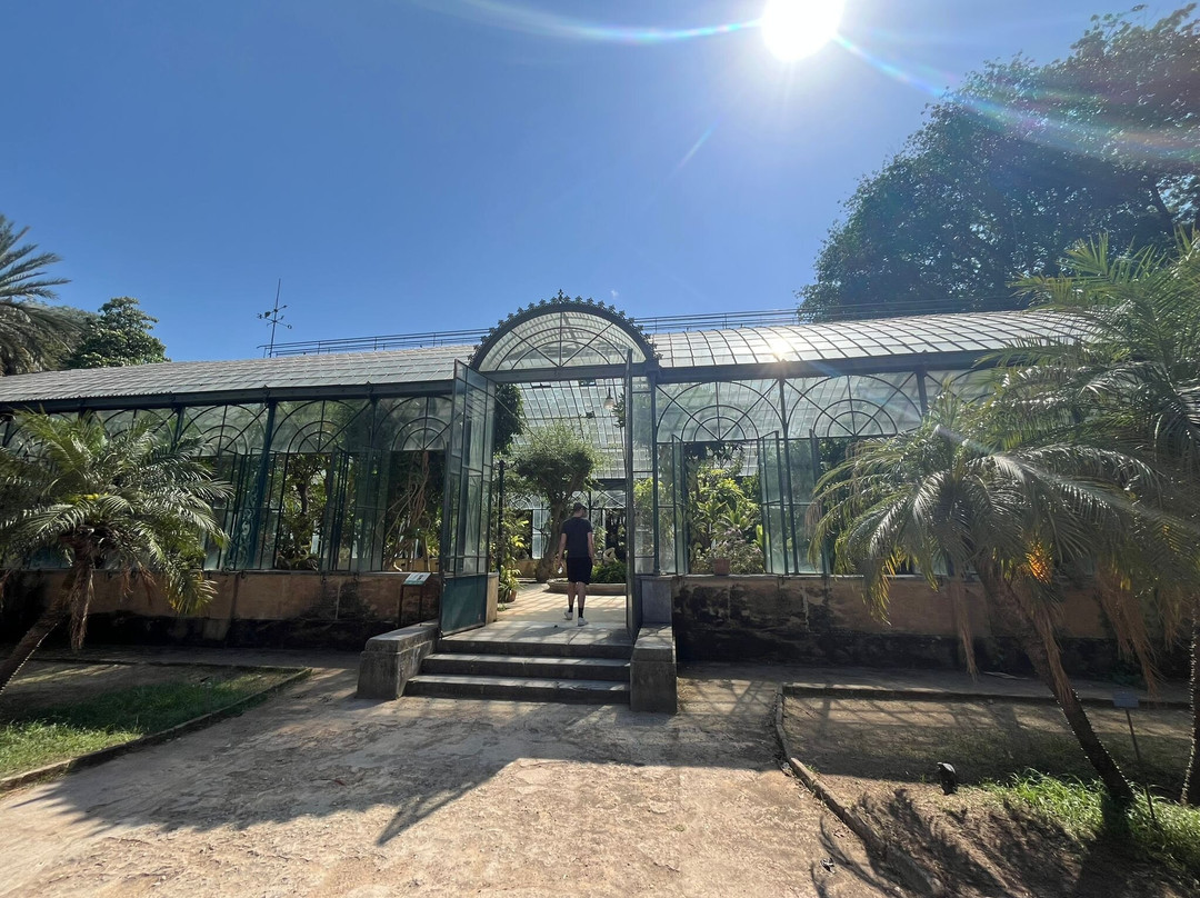 Orto Botanico-巴勒莫必去景点