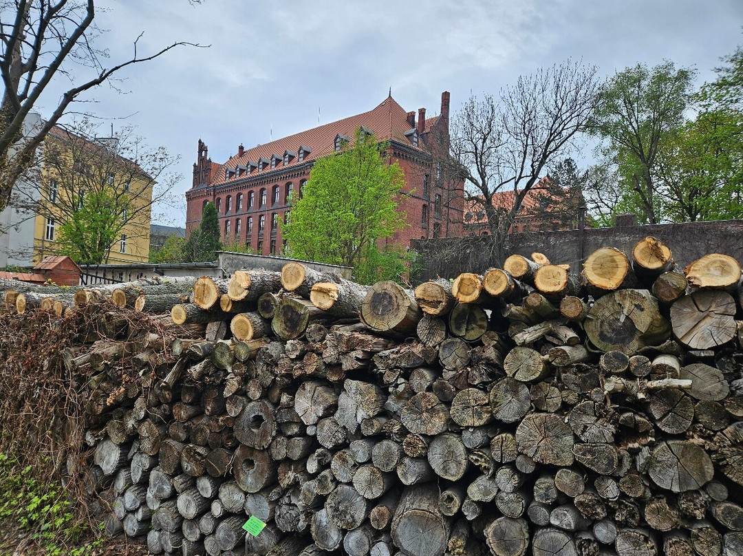 Botanical Garden of the University of Wrocław-弗罗茨瓦夫必去景点