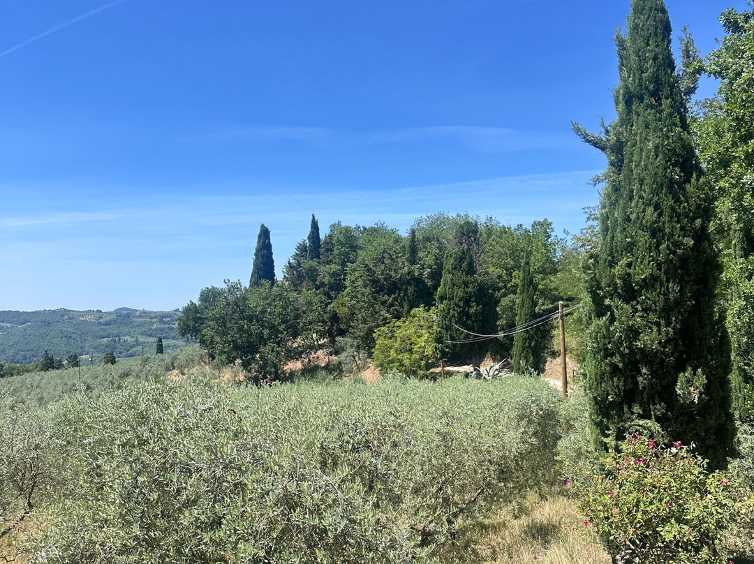 Podere San Pierino-佩萨河谷圣卡夏诺必去景点