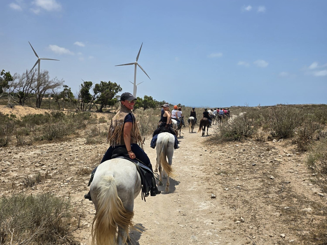 Cheval Essaouira-索维拉必去景点