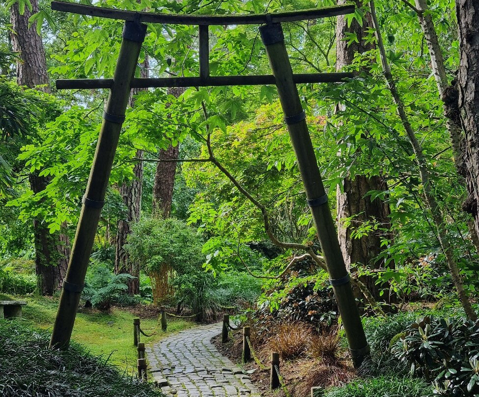 Pinetum Gardens主图