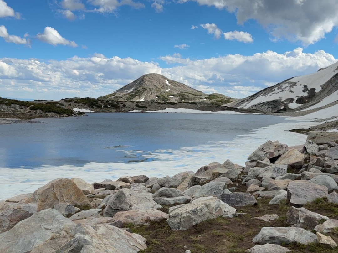 Medicine Bow National Forest-拉勒米必去景点