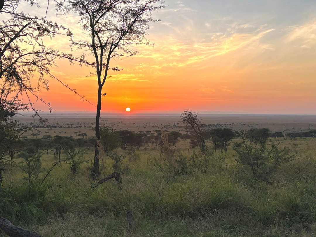 Access2Tanzania-阿鲁沙必去景点