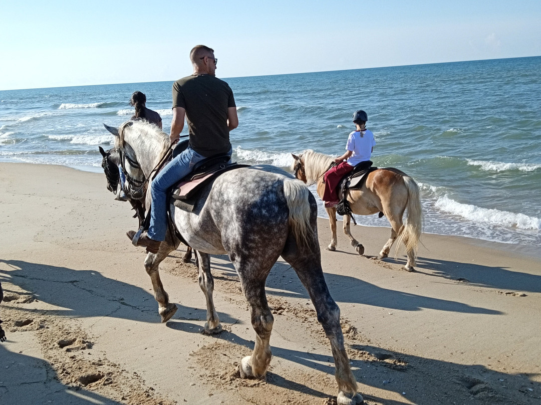 Equine Adventures-Frisco必去景点