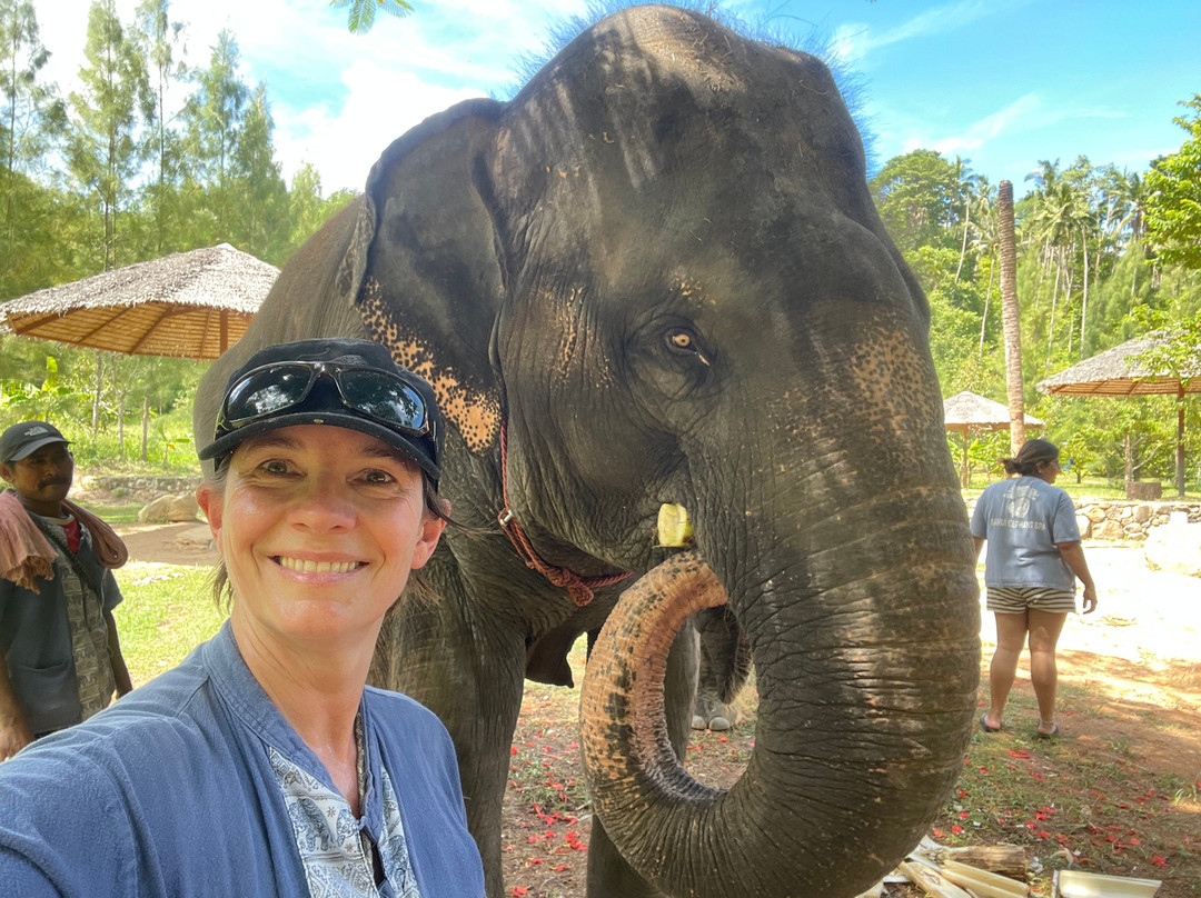 Samui Elephant Spa