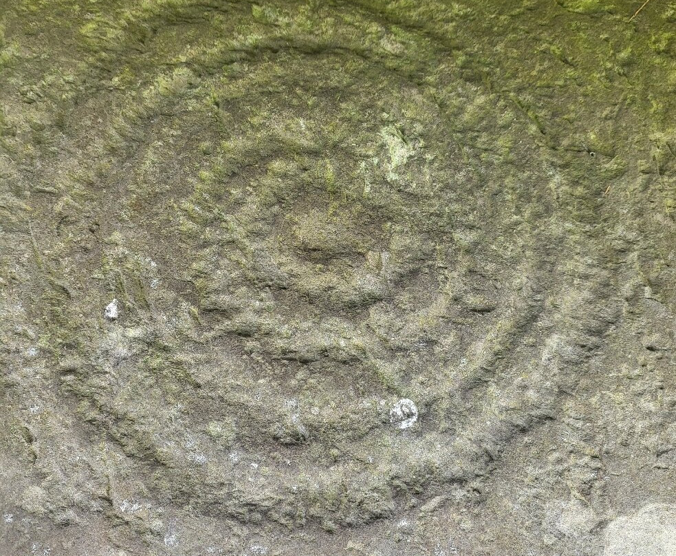 Newgrange-Donore必去景点
