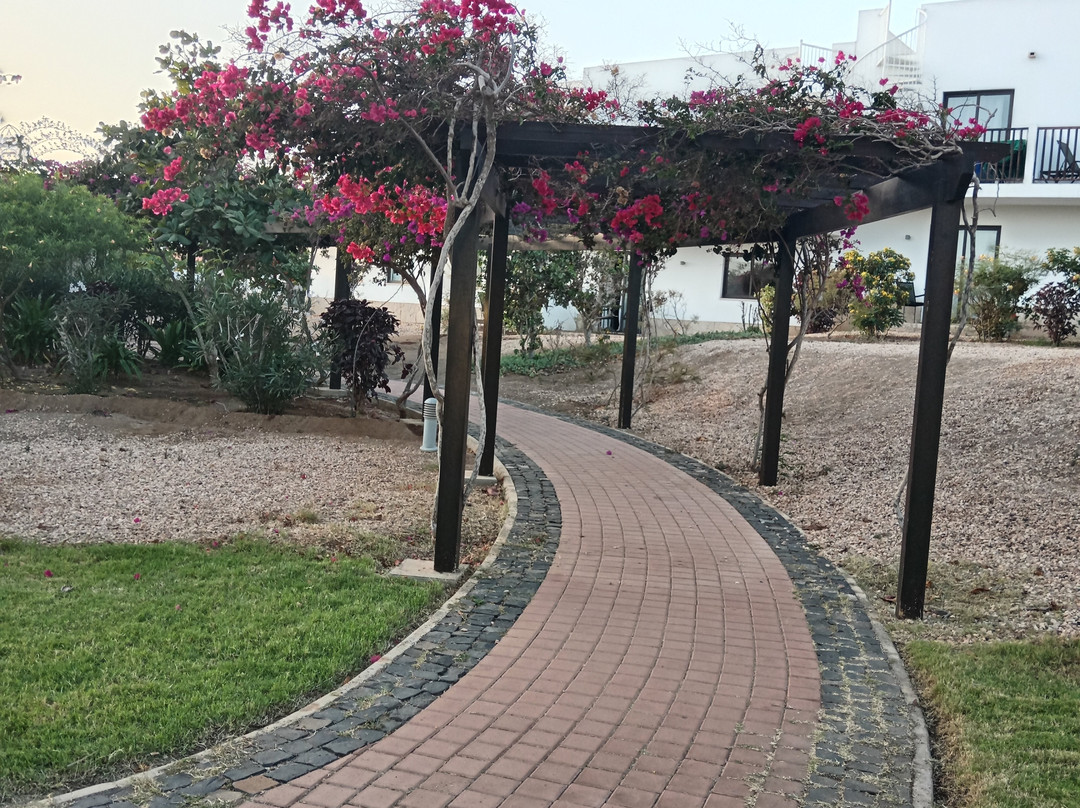 沙丘美利亚海滩水疗度假酒店主图