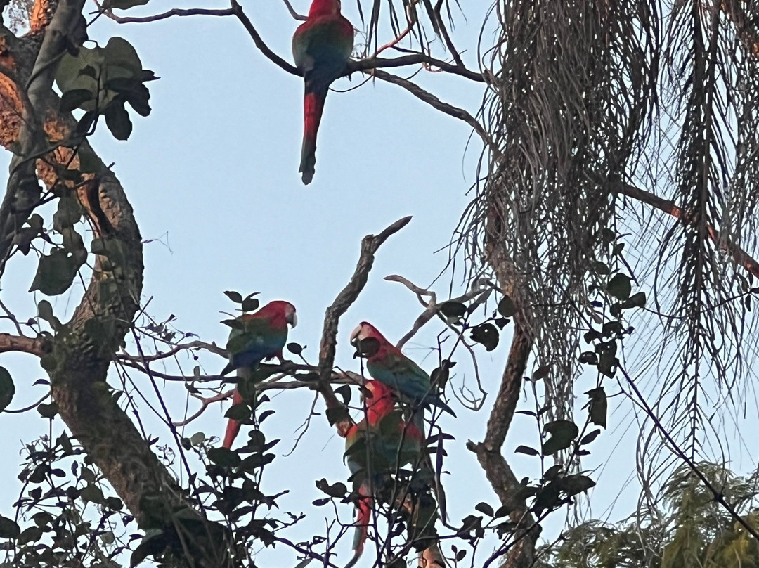 Buraco das Araras Ecoturismo-雅尔丁必去景点
