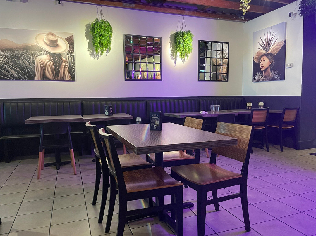 Pepe's Cantina - St Petersburg