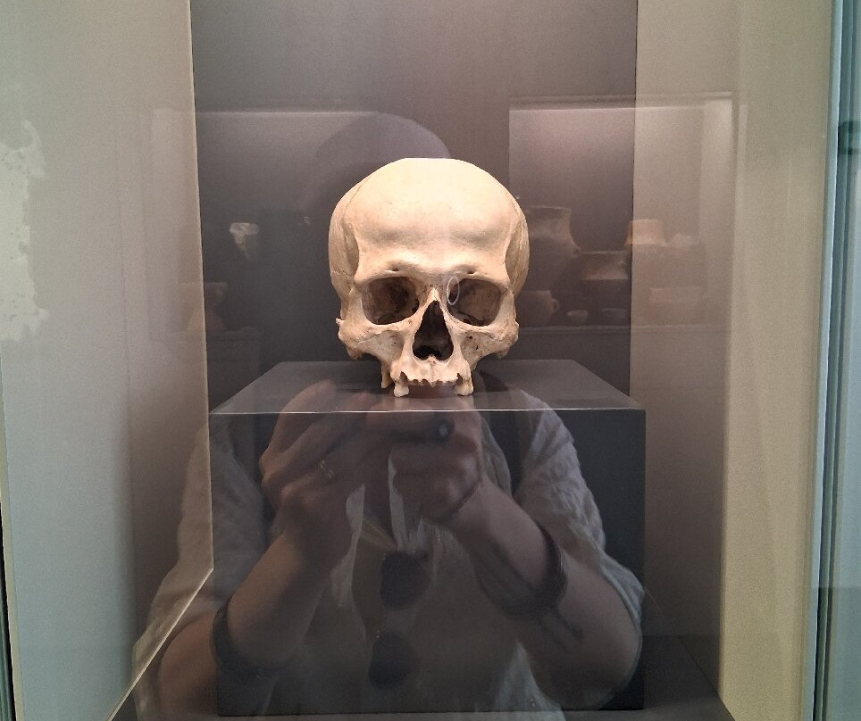 Museo Nazionale Giovanni Antonio Sanna-萨萨里省必去景点