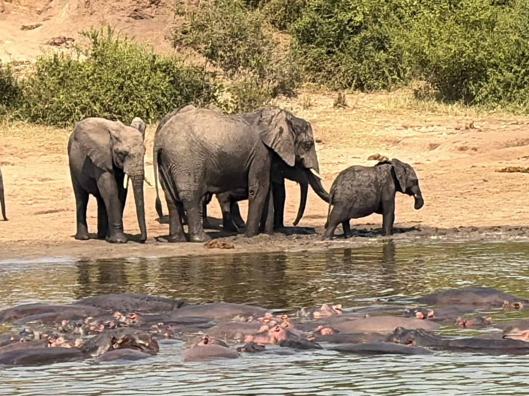 Africa Reveal Safaris-Namugongo必去景点