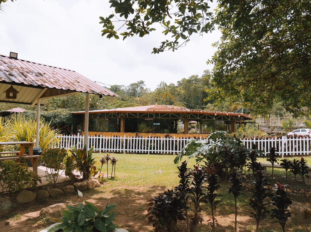 Rio Palomo CT