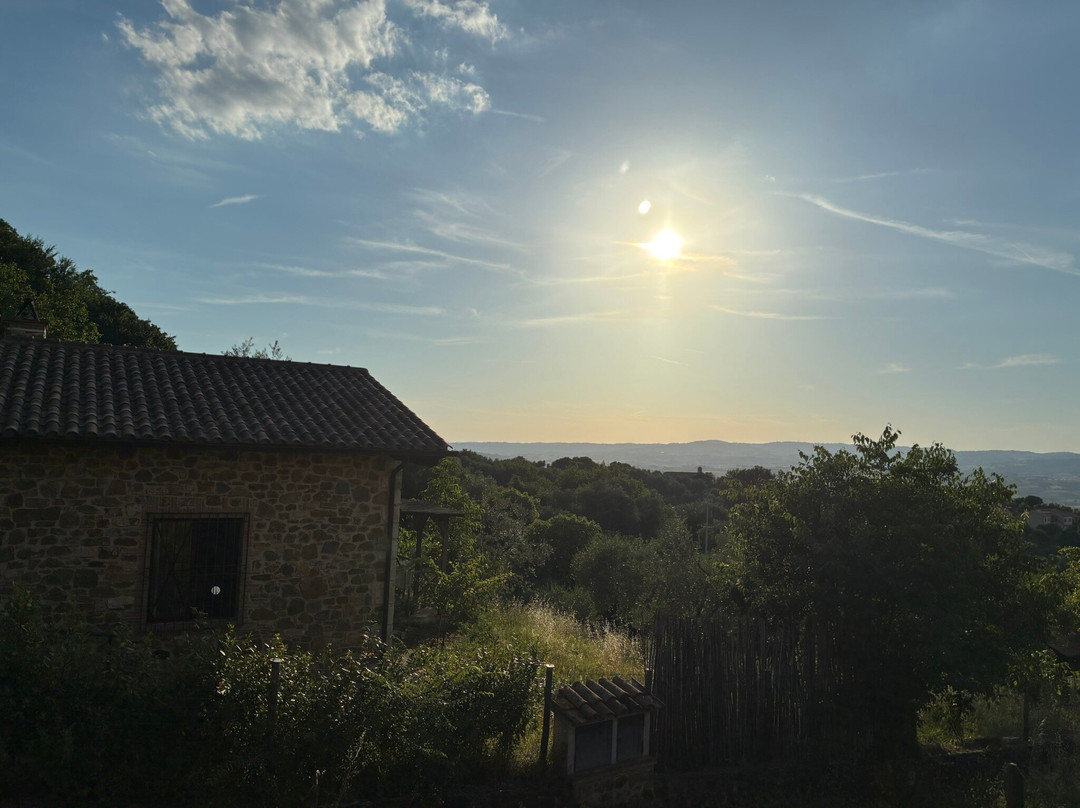 皮亚吉雅住宿加早餐旅馆