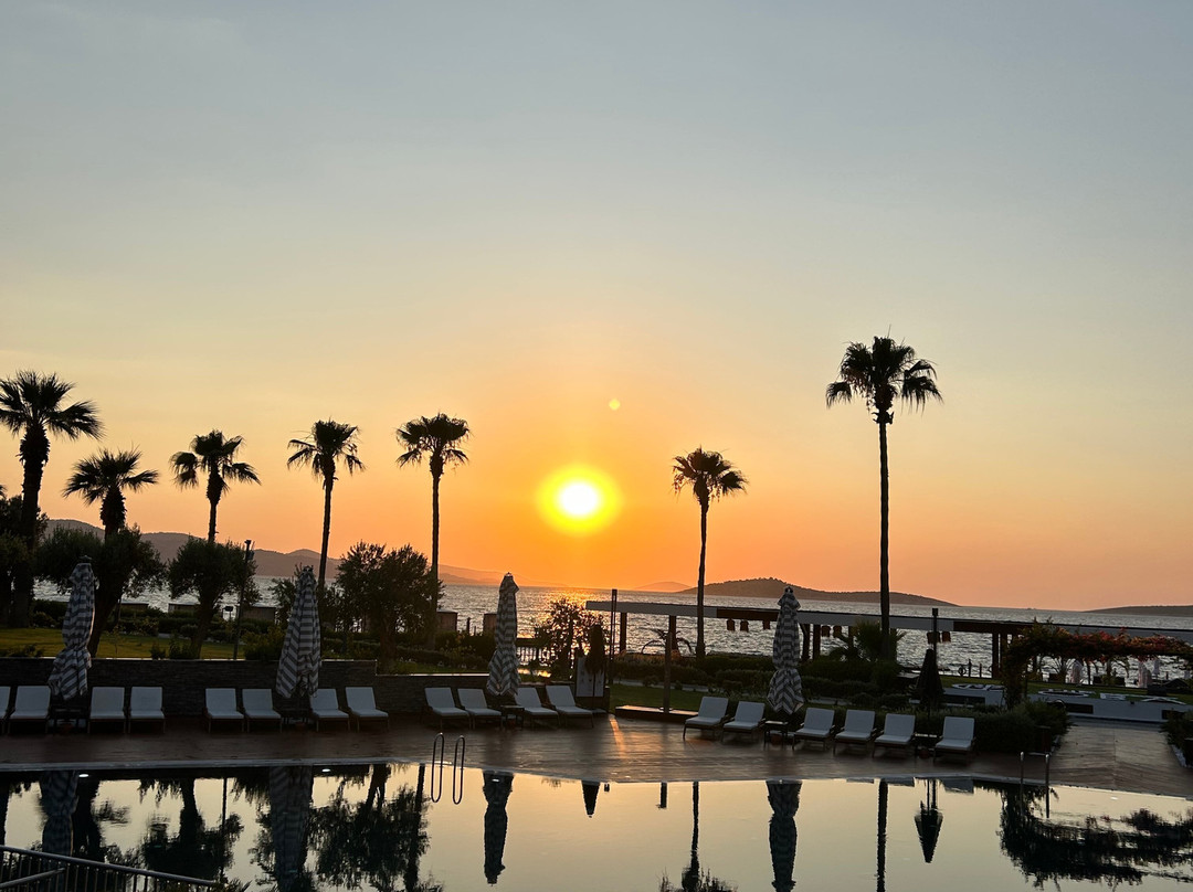 The OBA Hotel主图