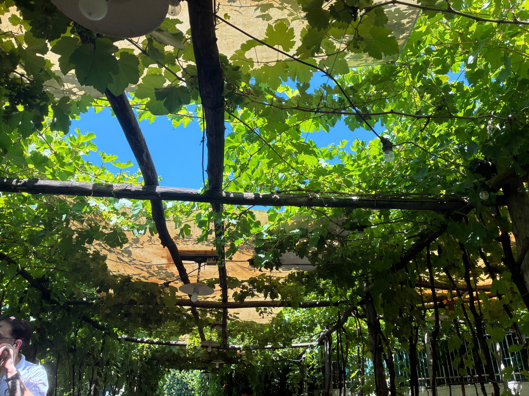 Bosco de Medici Winery-庞贝必去景点