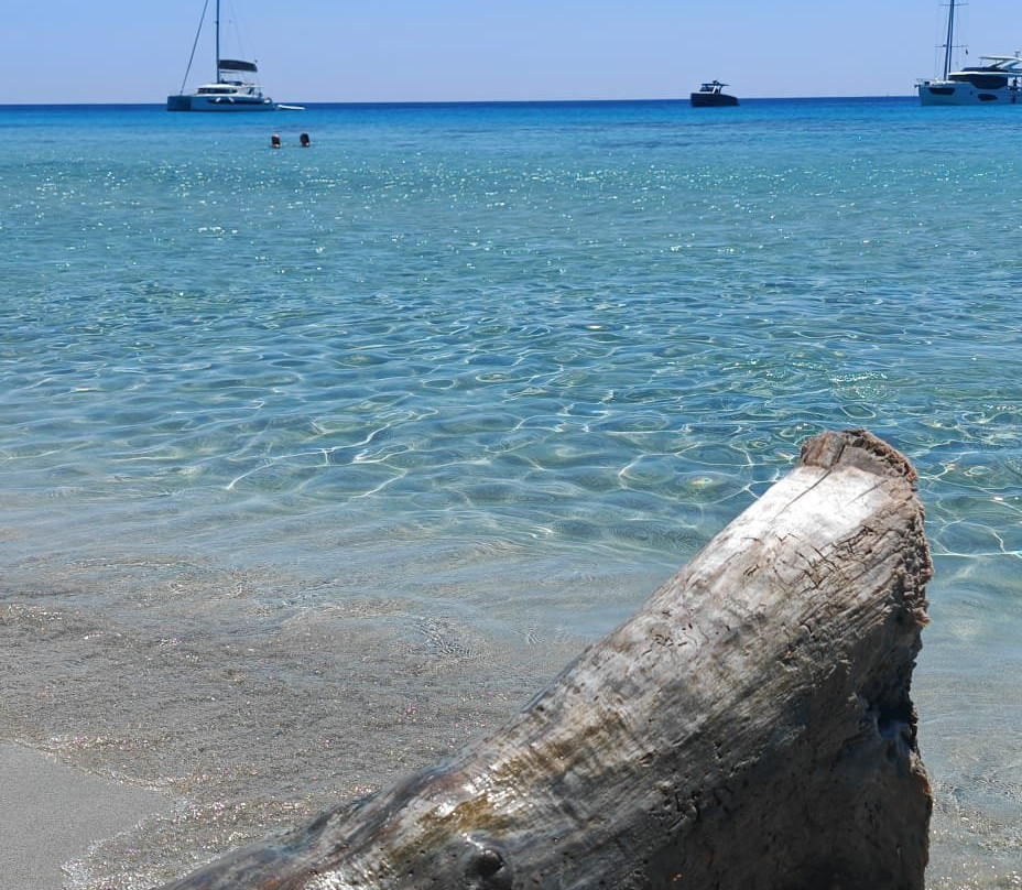 Playa Binigaus-Migjorn Gran必去景点