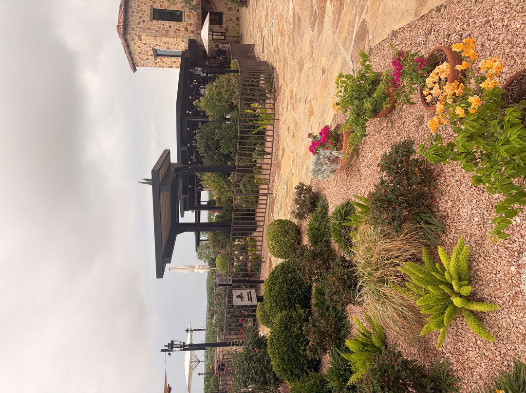 Grape Creek Vineyards Fredericksburg-弗雷德里克斯堡必去景点