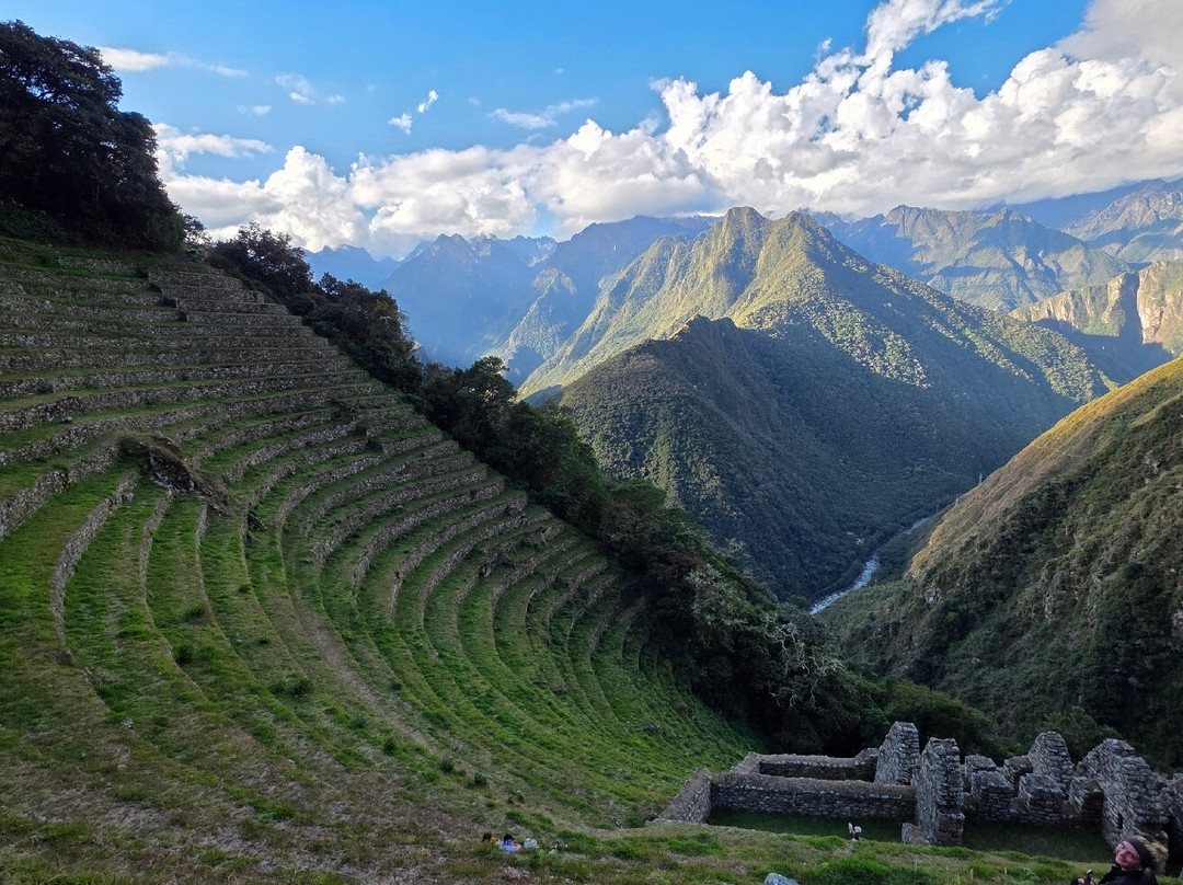 Alpaca Expeditions-库斯科必去景点