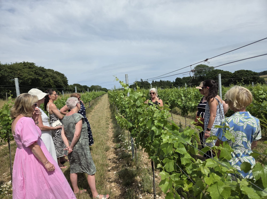 Raimes English Sparkling Wine-Alresford必去景点