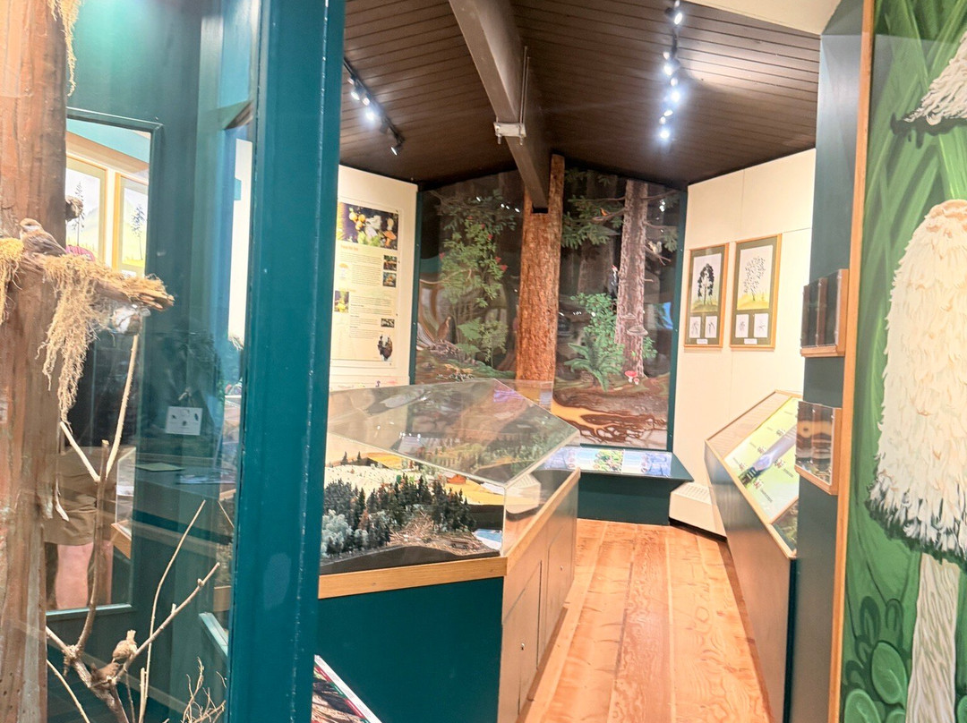 Lynn Canyon Ecology Centre-北温哥华必去景点