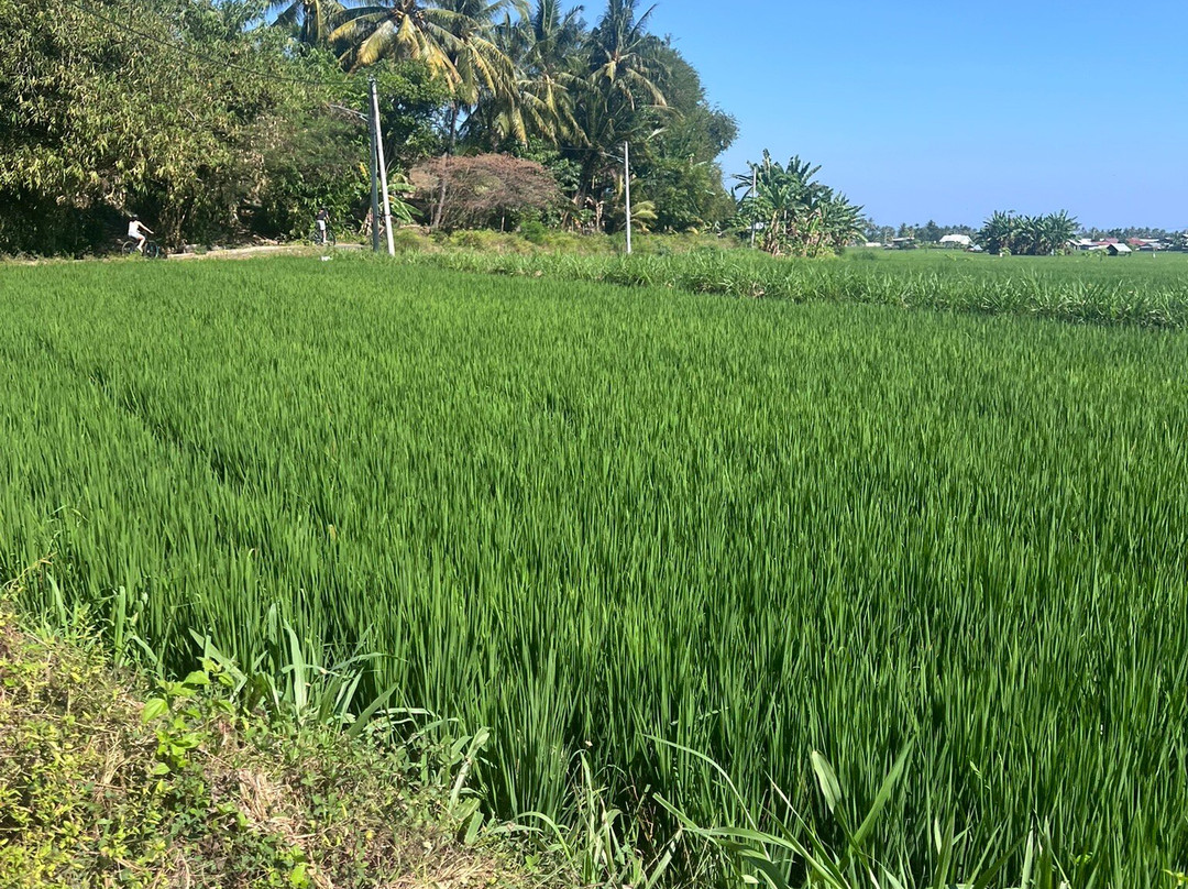 Lombok Bike Trip-Senggigi必去景点