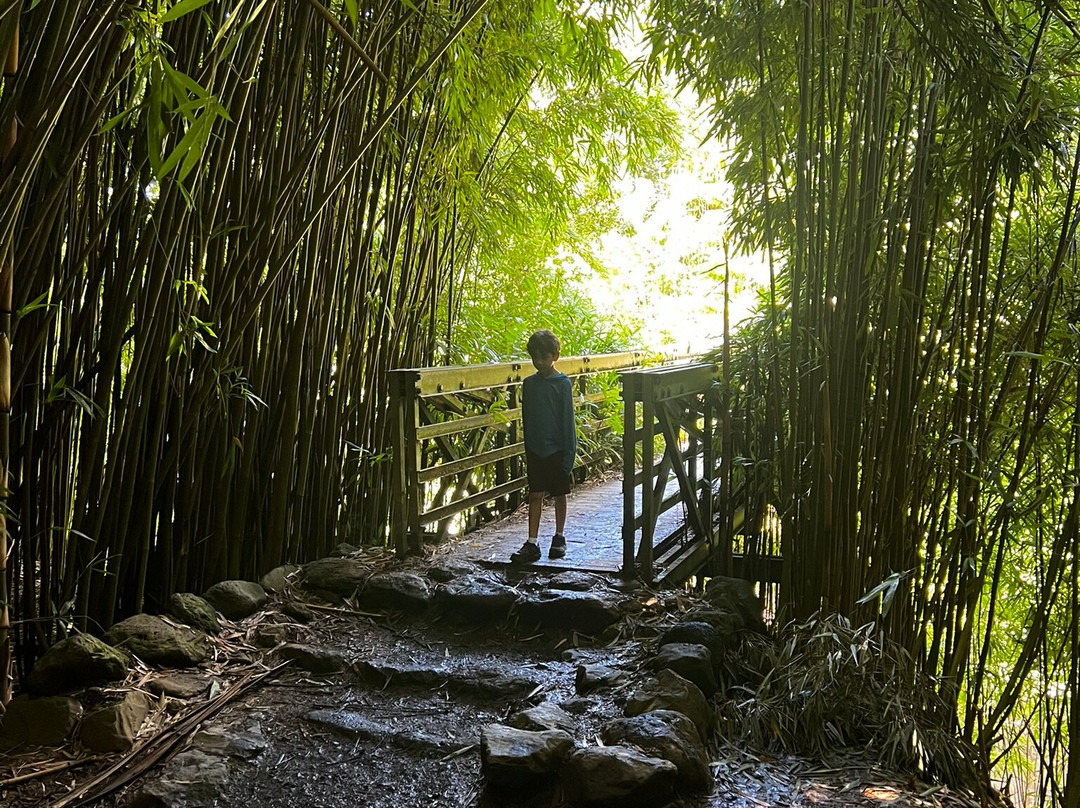 皮皮崴小径-哈莱亚卡拉国家公园必去景点