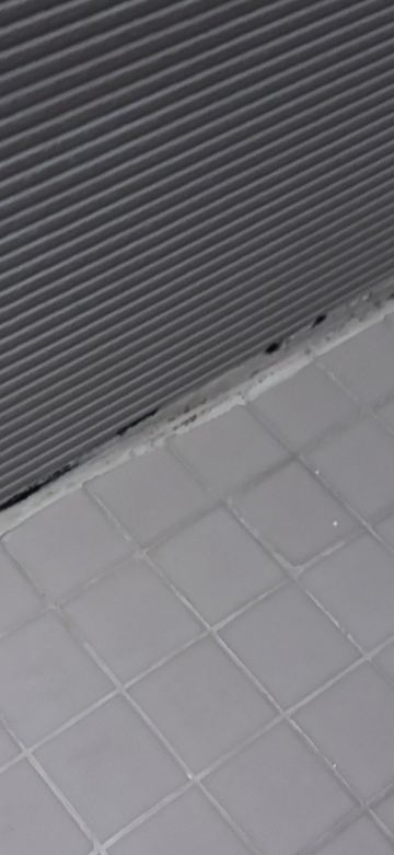 巴塞罗奥维耶多塞万提斯-旅行者
