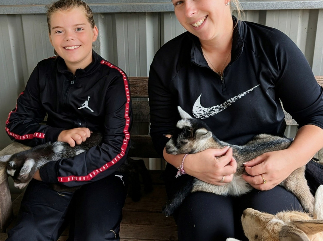 Stantons Farm - Petting Farm-Black Notley必去景点