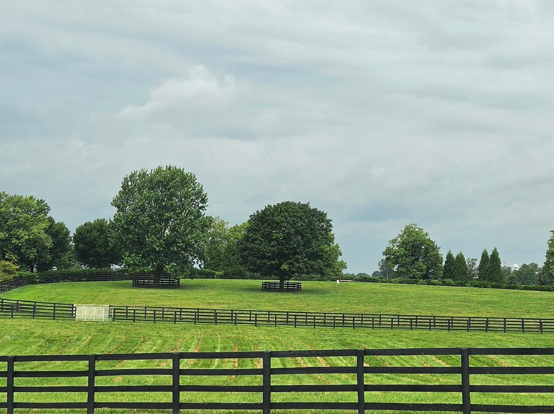 WinStar Farm-Versailles必去景点