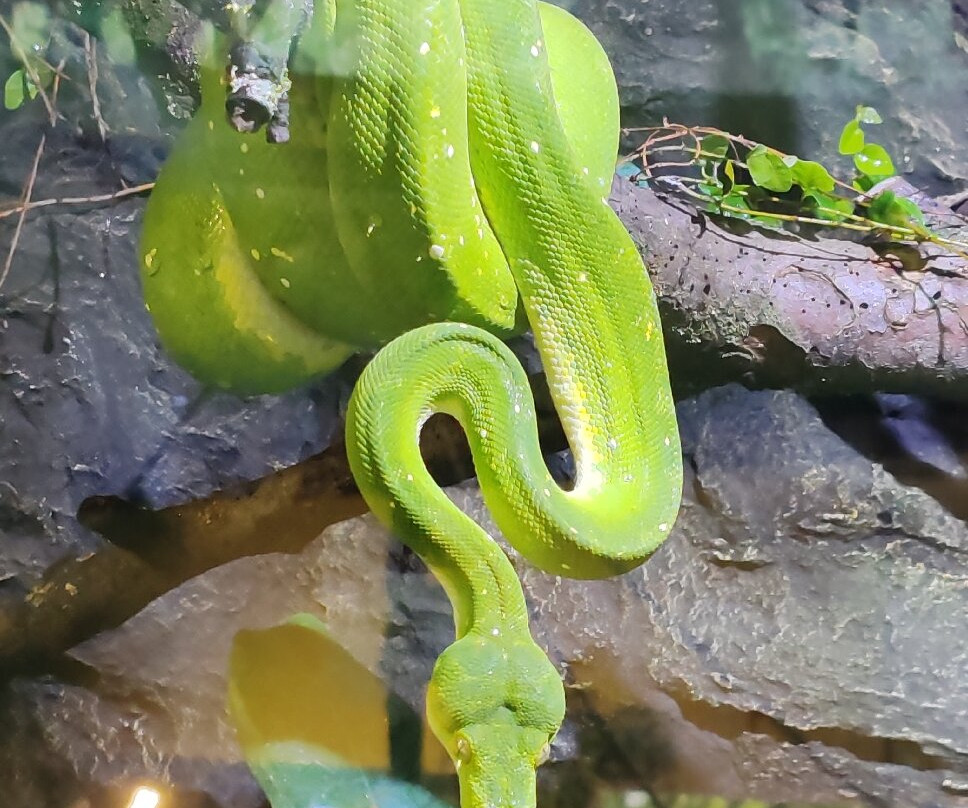Tropicarium-Oceanárium-布达佩斯必去景点