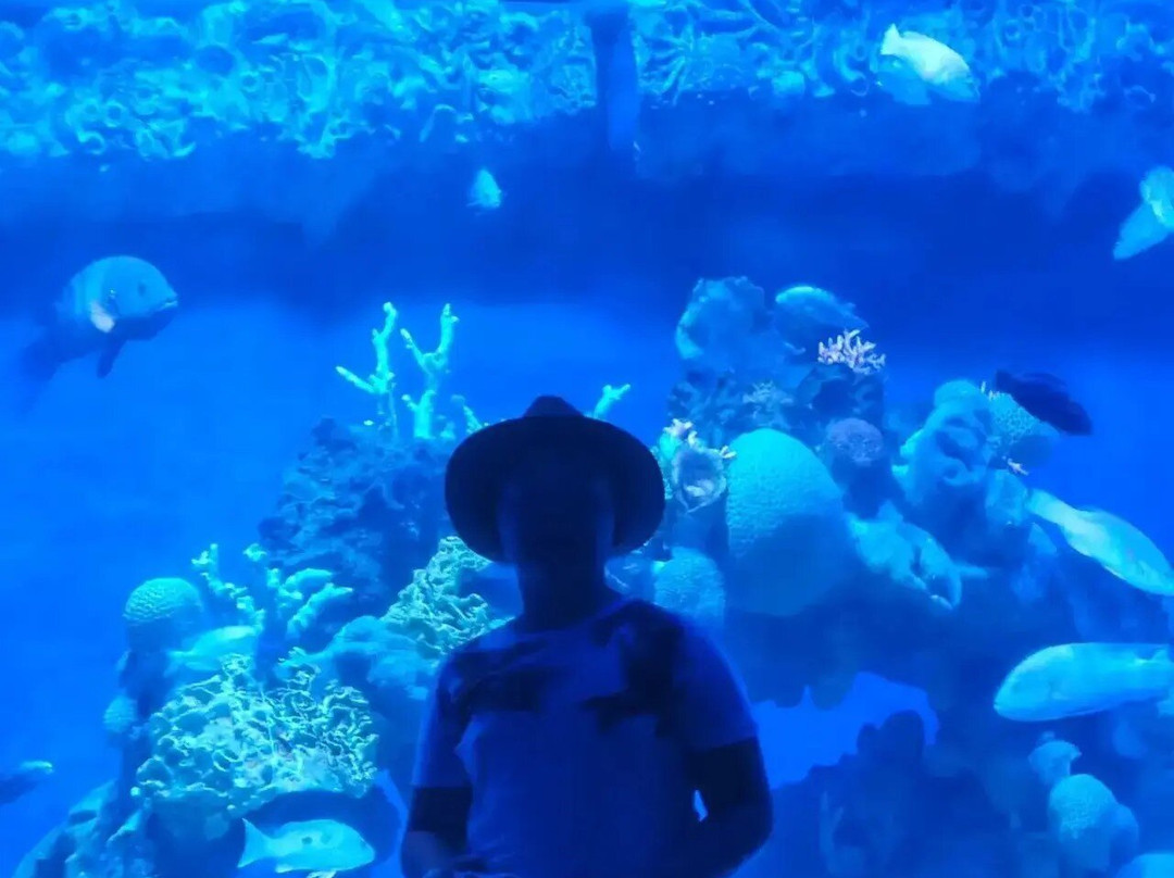 Hurghada Grand Aquarium-赫尔格达必去景点