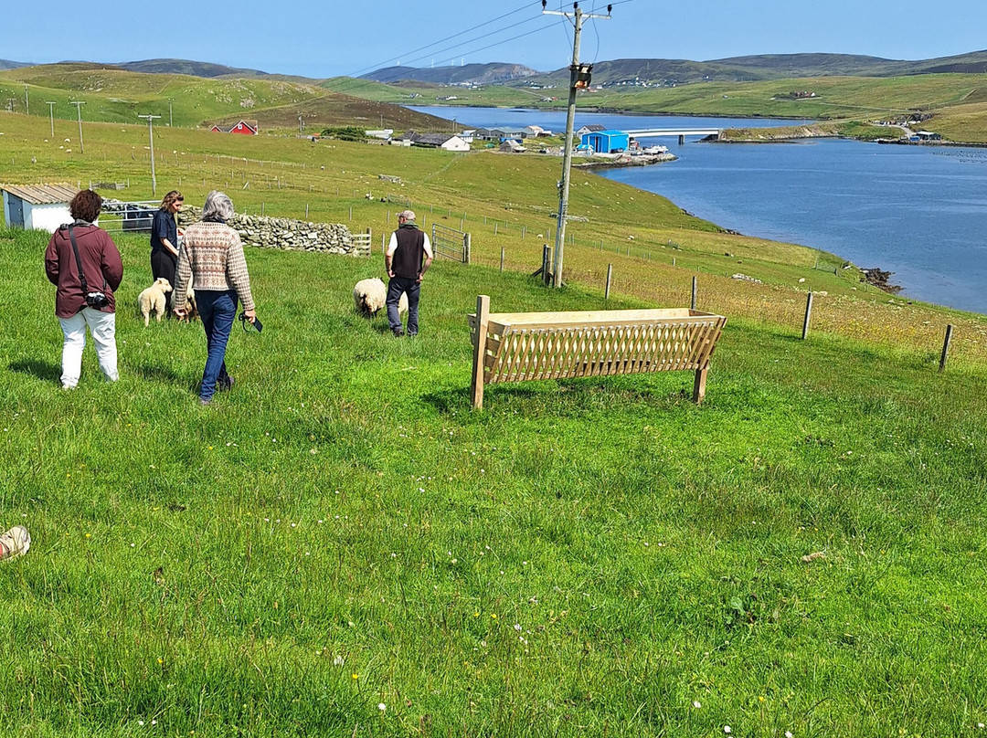 Shetland Wool Adventures-Lerwick必去景点