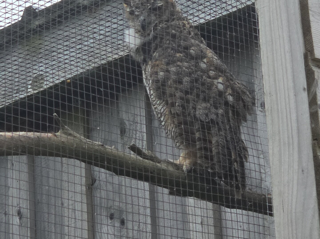 Wild Encounters Mini Zoo-Kilmeedy必去景点