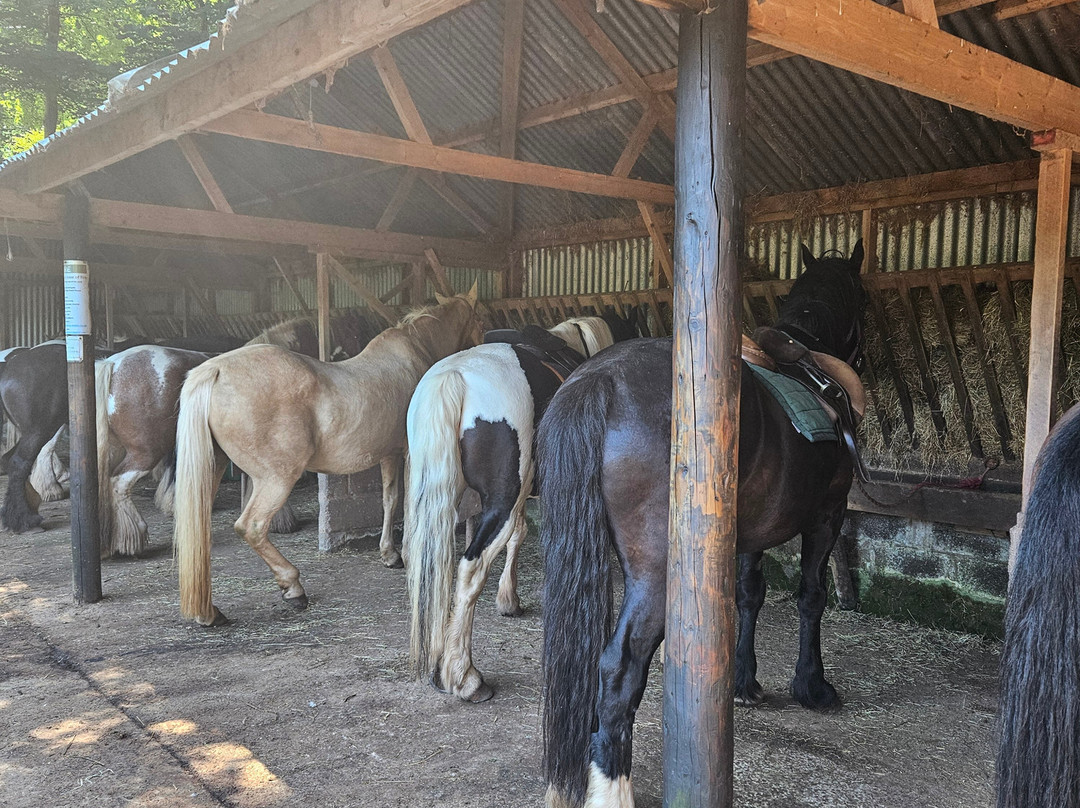 Grange Trekking Centre Guest House主图