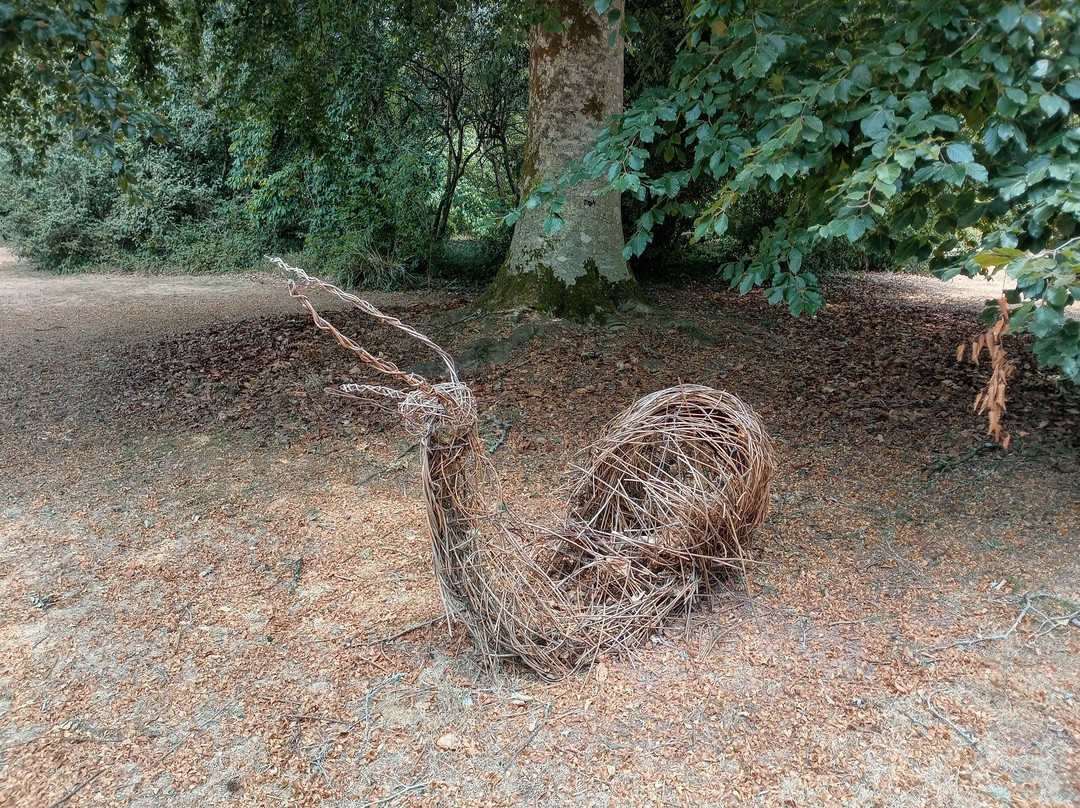 National Trust - Knightshayes Court-蒂弗顿必去景点