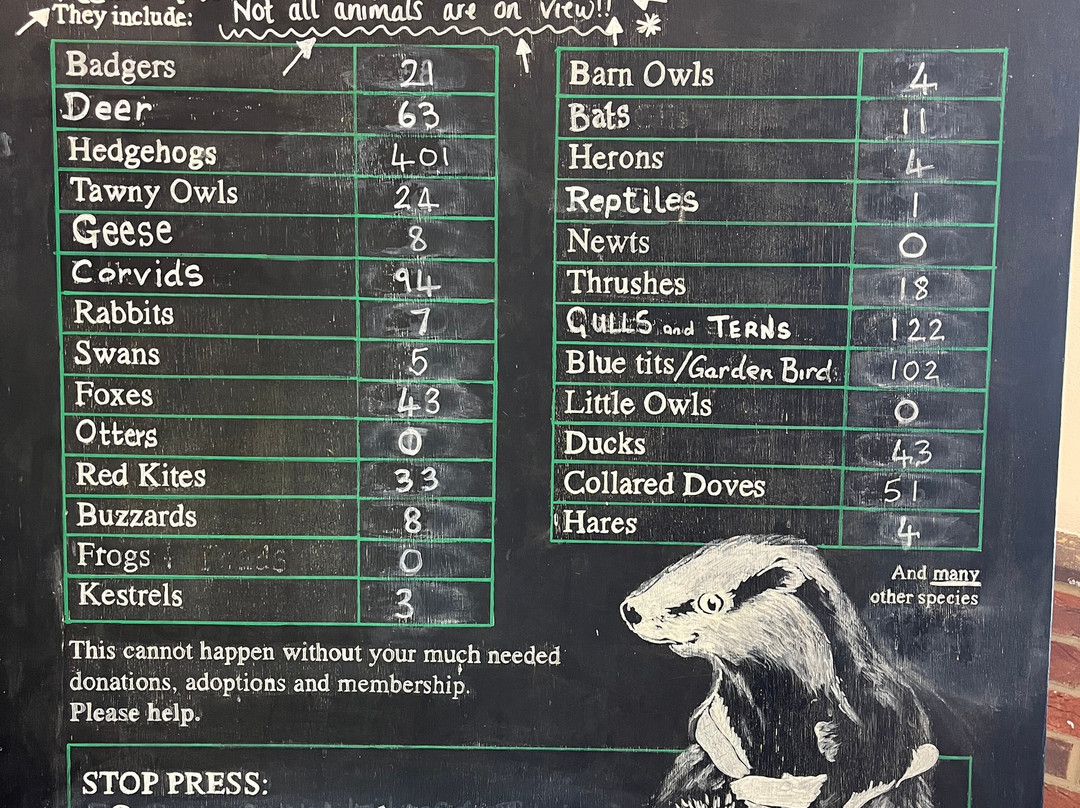 Tiggywinkles Wildlife Hospital Visitor's Centre-Haddenham必去景点