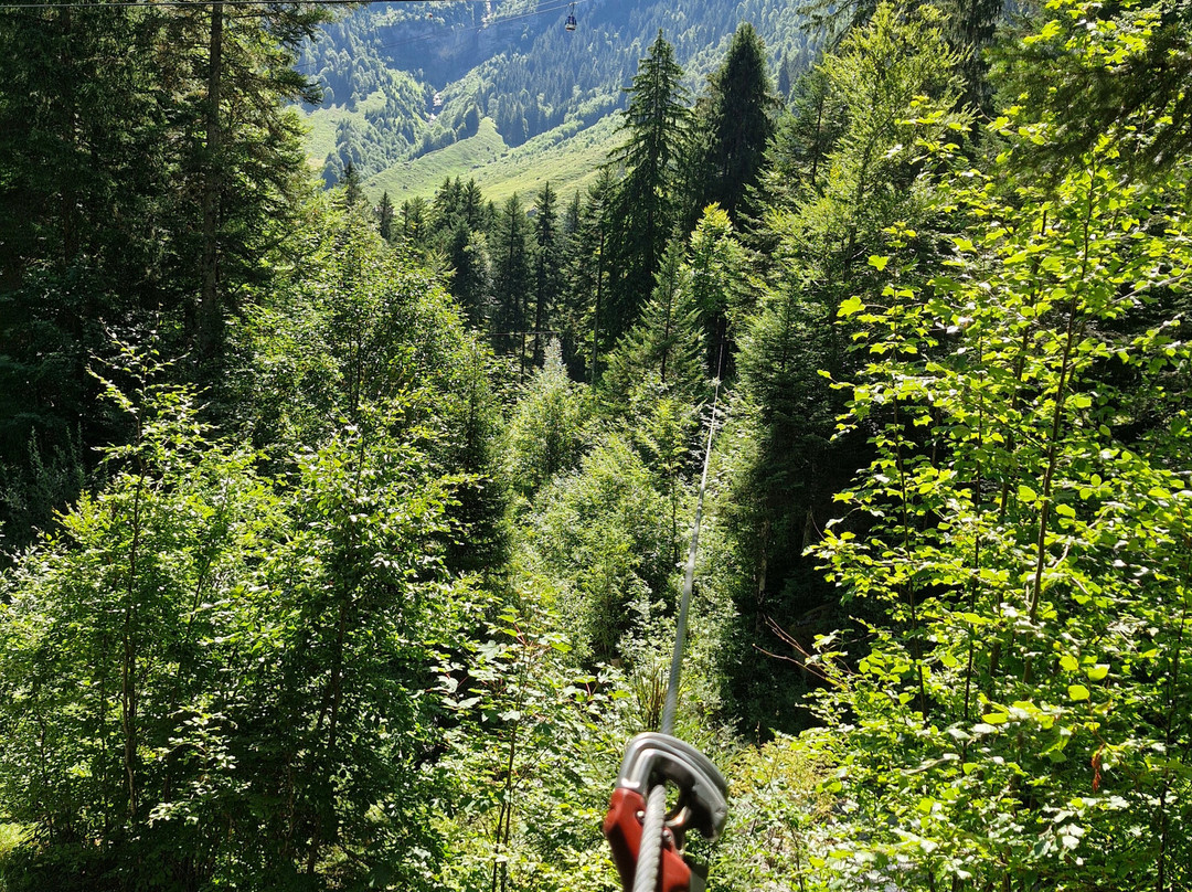DiscOWer Seilpark Melchsee-Frutt-Melchtal必去景点